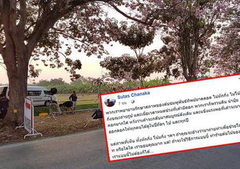 นักศึกษา โวย หลังทีมถ่ายทำหักกิ่งต้นชมพูพันธ์ทิพย์มาประดับฉาก