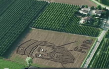 ภาพผู้นำคิวบาบนทุ่งในอิตาลี