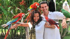 รักกับ ฝรั่ง