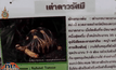 ตร.ยังไม่พบมือขโมยเต่ามาดากัสการ์