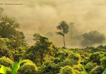 พยากรณ์อากาศ วันนี้ 24 พ.ย.