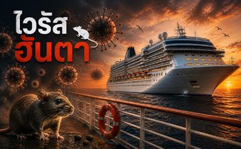 ทำความรู้จัก “ไวรัสฮันตา” (Hantavirus) เชื้อร้ายจากหนูที่คร่าชีวิตคนบนเรือสำราญ