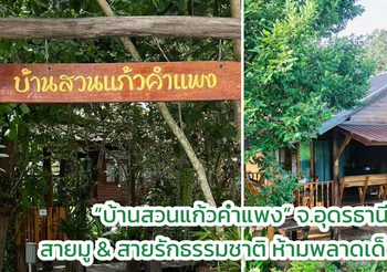 เปิดพิกัด! ที่พักอีสานโมเดิร์นที่ “บ้านสวนแก้วคำแพง” จ.อุดรธานี คนรักธรรมชาติ ห้ามพลาด!