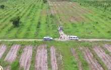 บ.ผลิตโดรนเพื่อการเกษตรรายแรก ในกัมพูชา