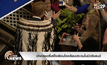 เจ้าชายแฮรี่เสด็จเยือนโรงเรียนประถมในนิวซีแลนด์