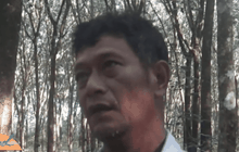 เกษตรกรประกาศขายสวนยางพาราหลังราคาตกต่ำ