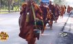 พระสงฆ์ เดินเท้าถวายเป็นพระราชกุศล