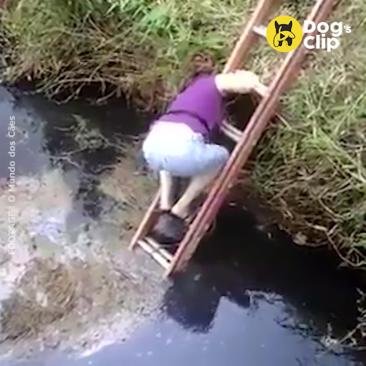 หญิงสาวเข้าช่วยน้องหมาที่ติดอยู่ในท่อน้ำทิ้ง