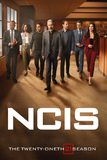 NCIS หน่วยสืบสวนคดีเดือด ปี 21