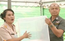 เลือกตั้งล่วงหน้าทั่วประเทศคึกคัก