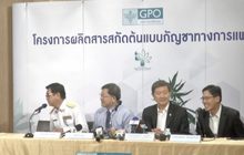 เตรียมอบรมแพทย์-เภสัชกร นำกัญชารักษาโรค