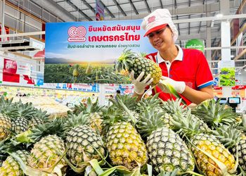 โก โฮลเซลล์ หนุนเกษตรกร จ.ลำปาง ดันสับปะรดกระจายทุกสาขา ช่วยปัญหาล้นตลาด
