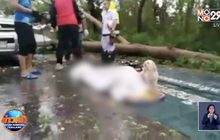 ภาพสุดเศร้า! สุนัขนั่งเฝ้าร่างไร้วิญญาณของเจ้านาย ไม่ห่าง แม้ตัวเองจะบาดเจ็บ